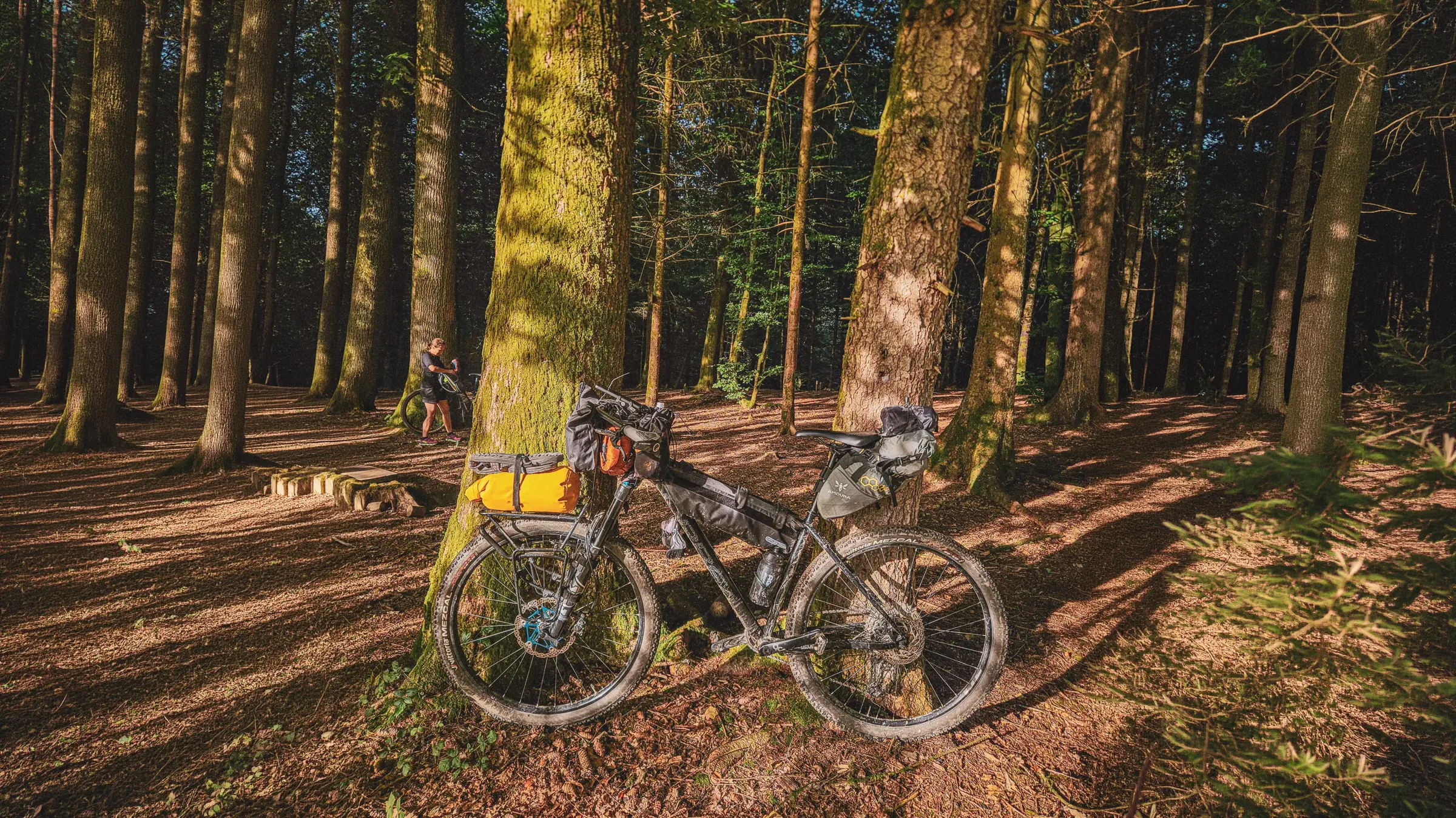 Toerfietsen rusten uit op een bosgrond onder de majestueuze bomen van Saint-Hubert.