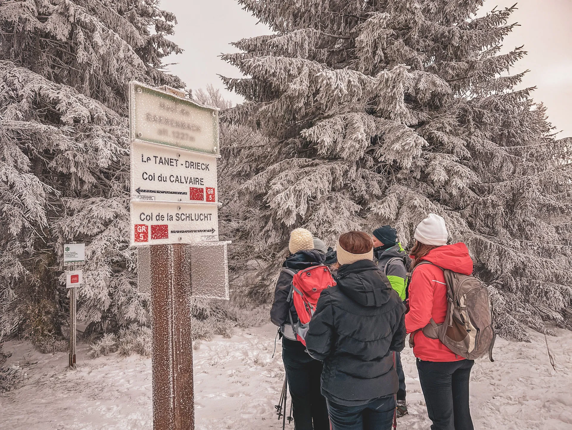 Randonneuse en raquettes à neige glissant sur la neige dans un paysage des Vosges