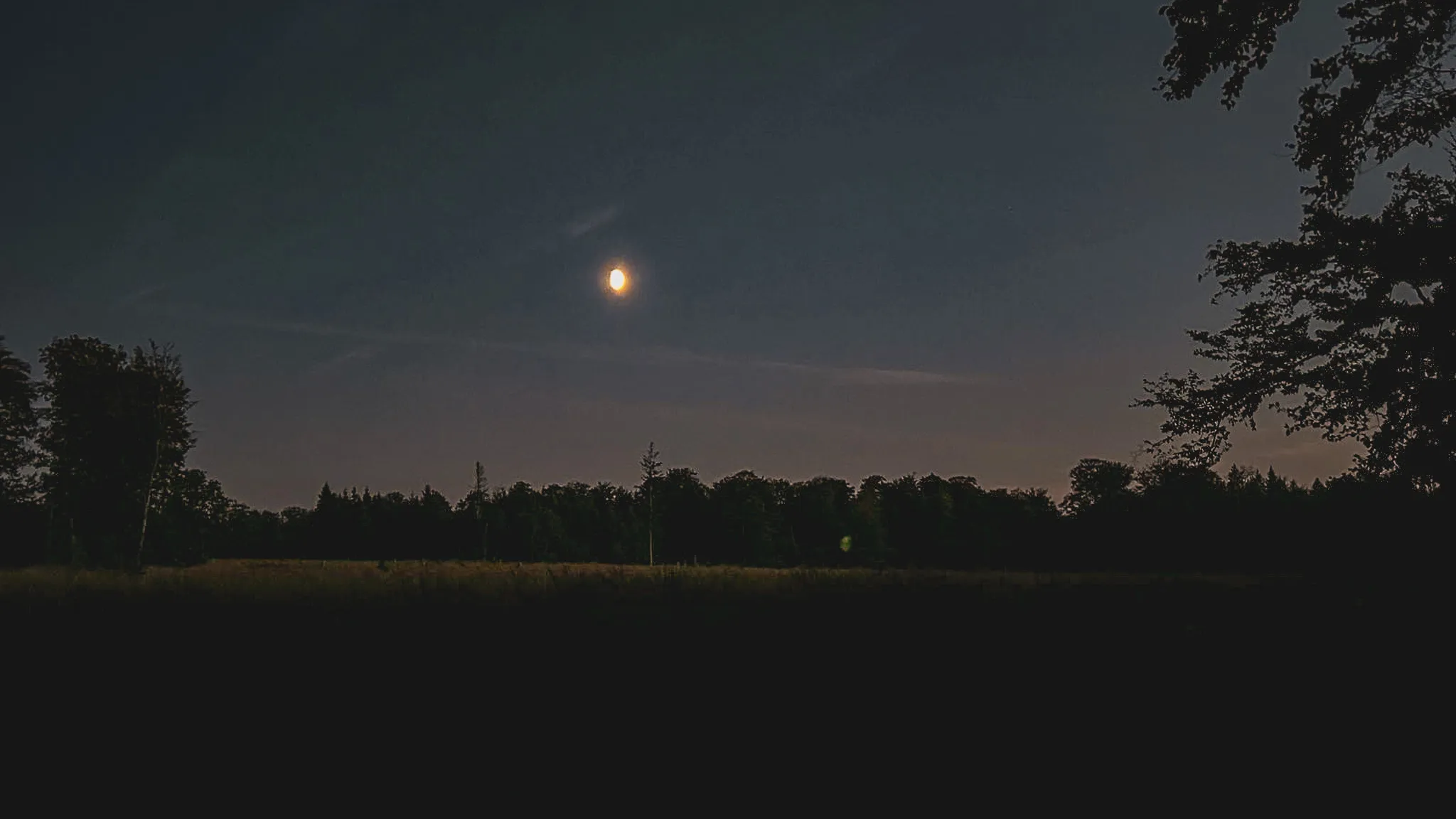 Een sterrennacht in de Ardennen, een volle maan die het vredige bos van Saint-Hubert verlicht.