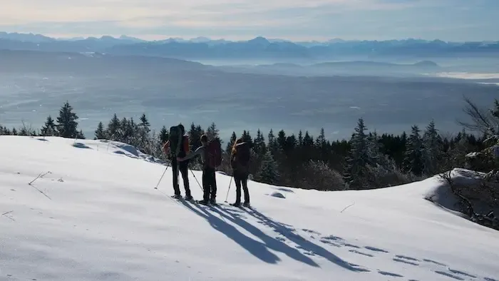 Trois personnes dos à nous regardant en haut d'une montagne le paysage au loin. Ce sont les alpes. On peut voir que les trois personnes portent un sac à dos, des raquettes de randonnée, des bâton. On peut y voir en contre bas une forêt de sapins. Ils marchent dans la neige. 