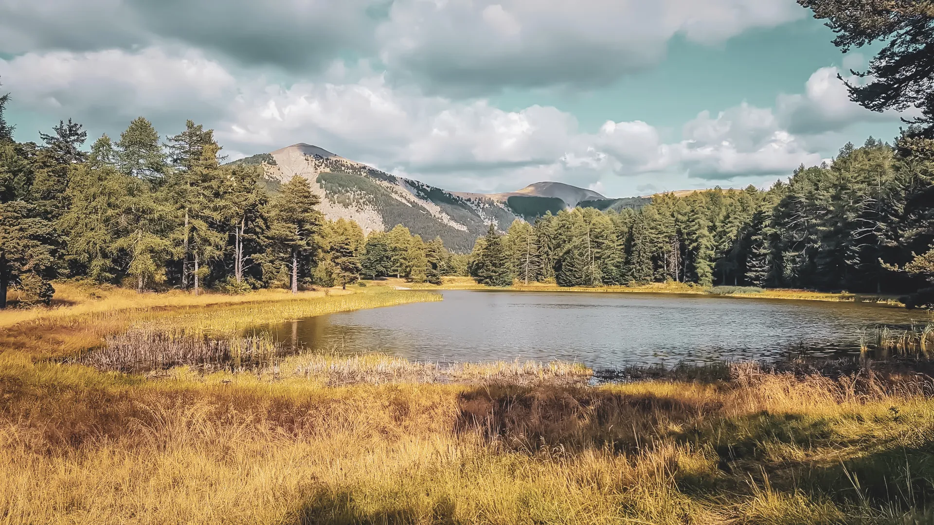 A tranquil lake surrounded by majestic forests and the enchanting peaks of the Écrins