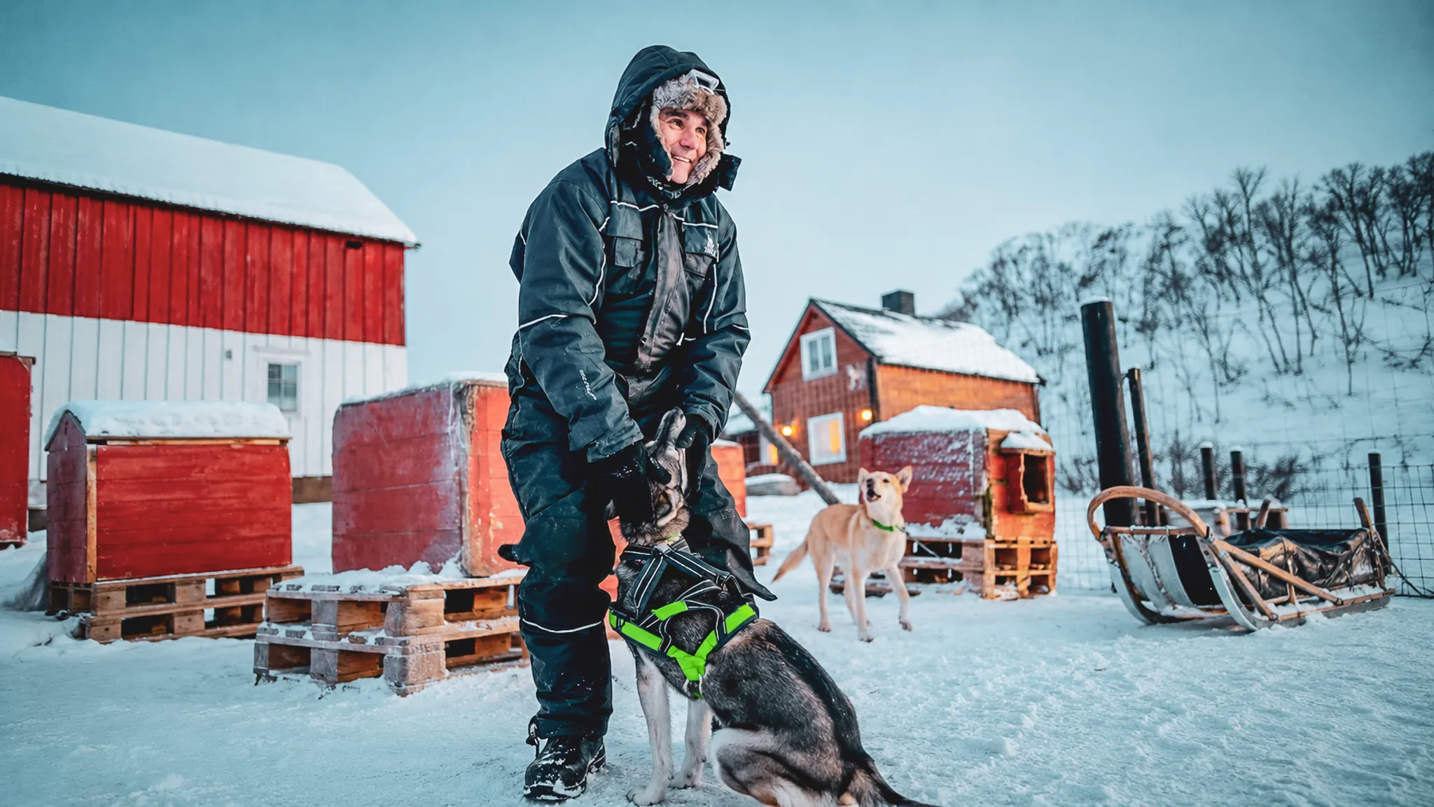 A musher in a suit petting a husky in a snowy landscape