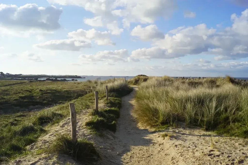 sentier entre des dunes pour rejoindre la mer