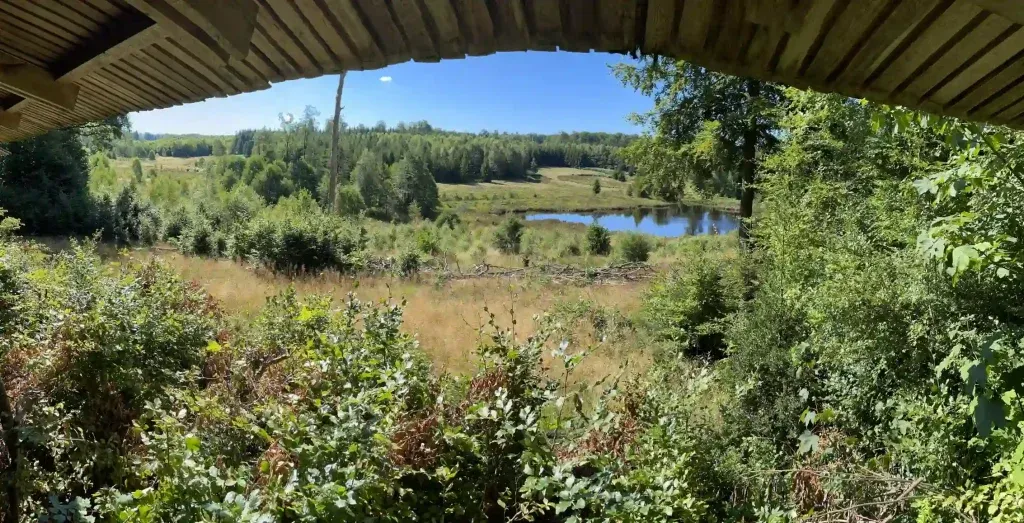 Aire de Bilaude dans la forêt de Saint-Hubert