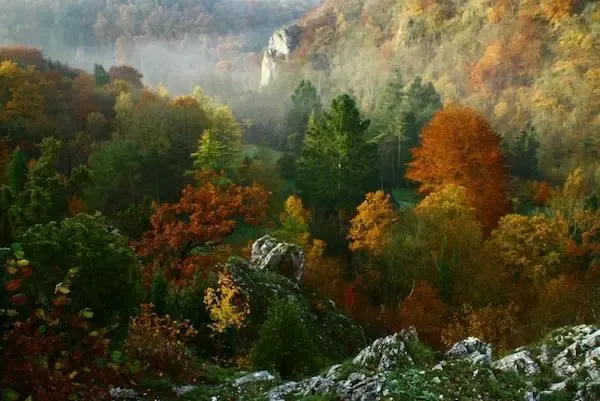 Photo du parc de Furfooz, arbre vert orange et rougeâtre d'automne. Des espaces rocheux avec de la verdure. De la brume sur le fond de la photo. Idéal pour une balade d'automne en Belgique. 