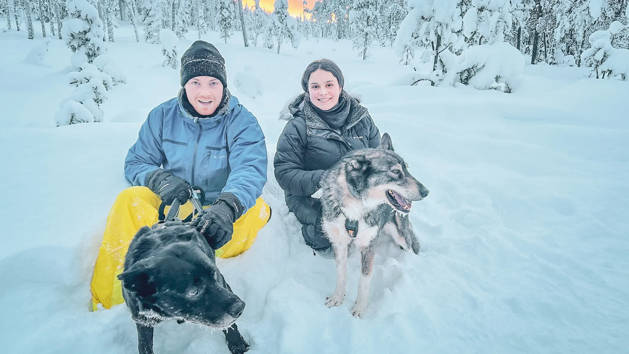 Two participants sitting in the snow in Lapland, surrounded by sled dogs.