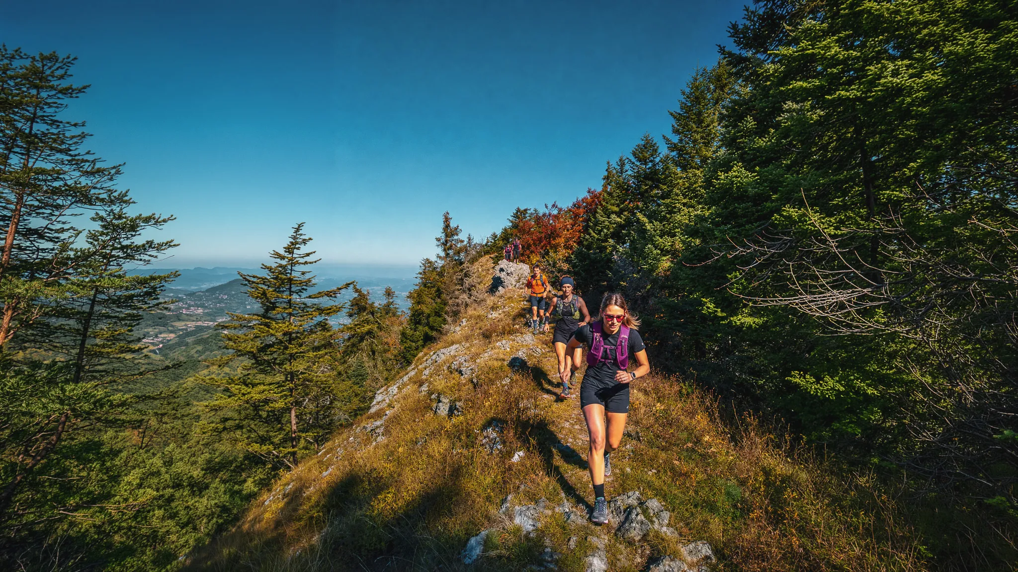 Group of beginner trail runners on a sunny path, surrounded by lush green landscapes in the Chartreuse.