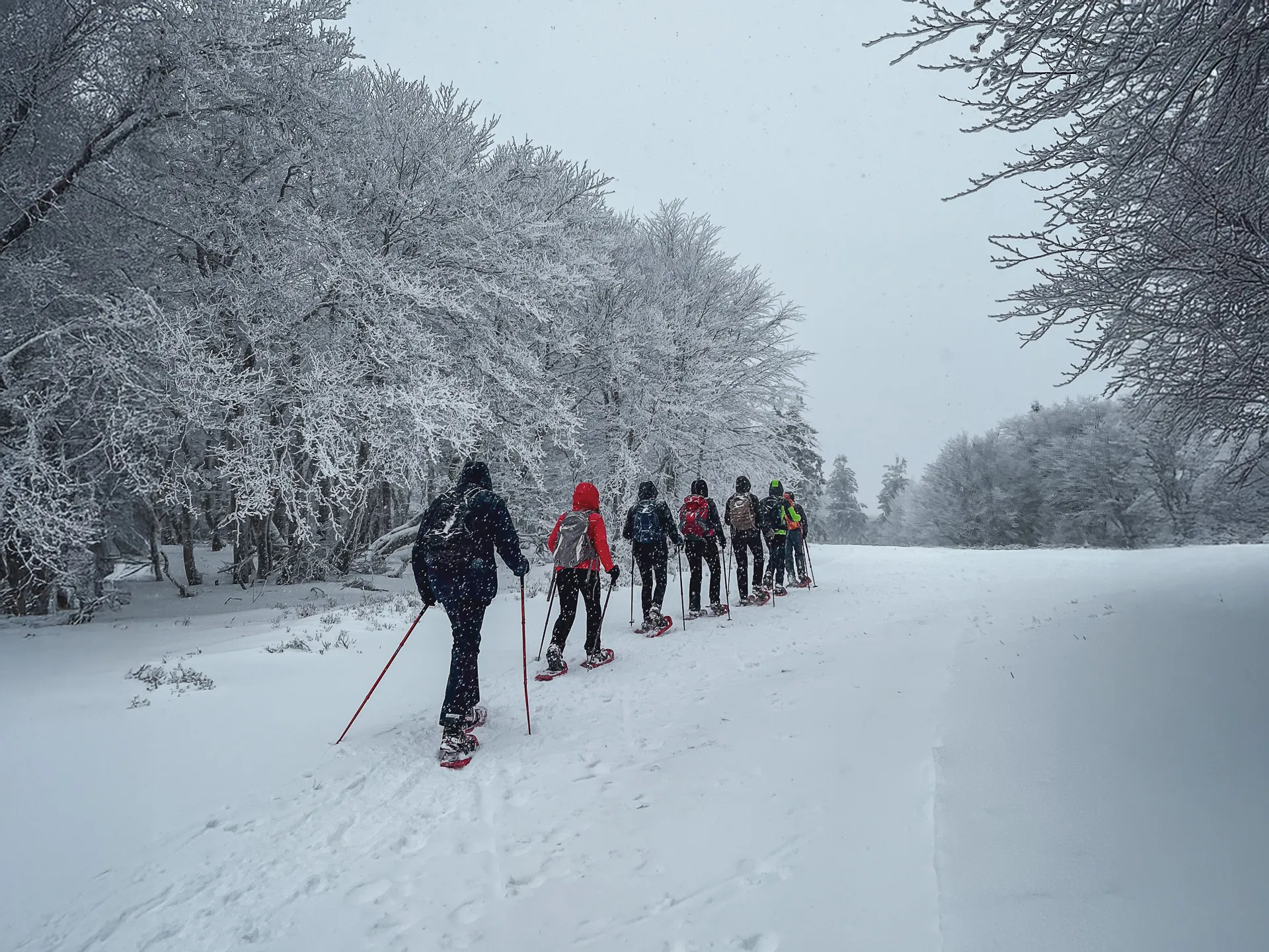 Refuge en bois enneigé dans les Vosges où dorment les participants d'un séjour raquettes à neige