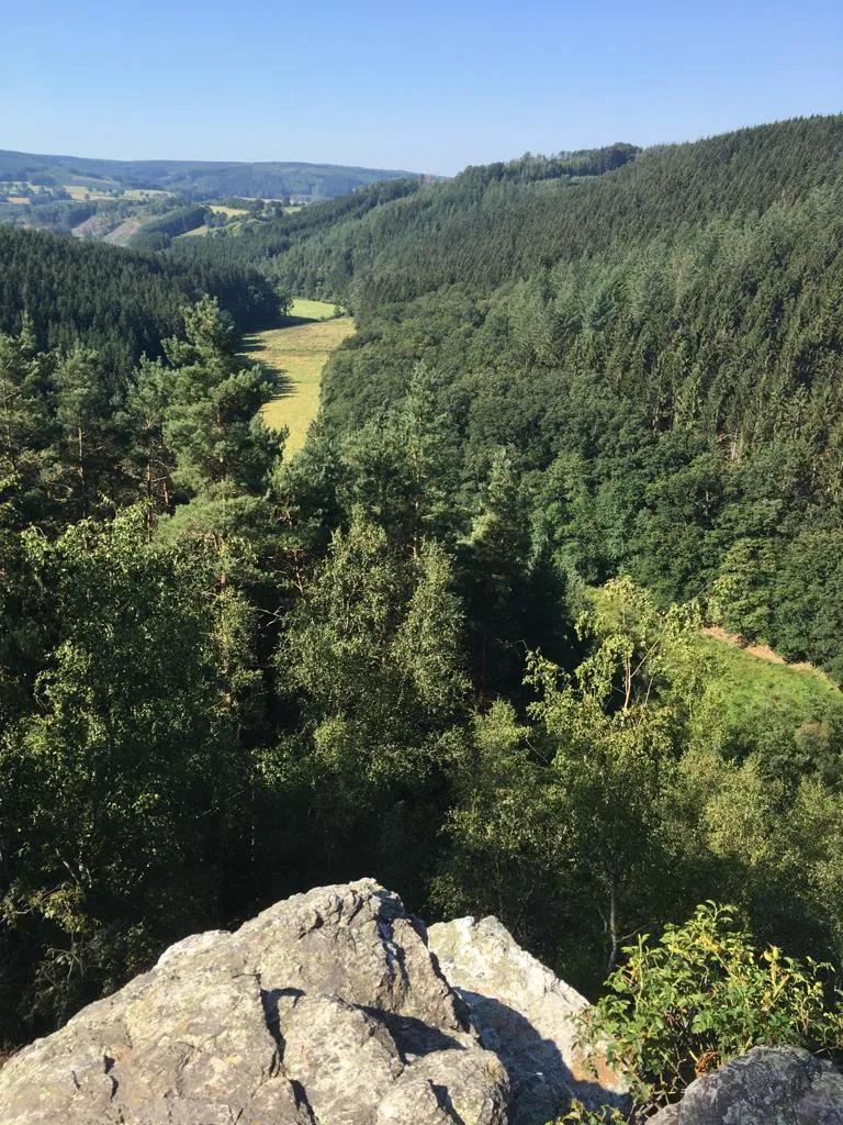 le rocher de falize, la forêt en dessous sous un grand ciel bleu